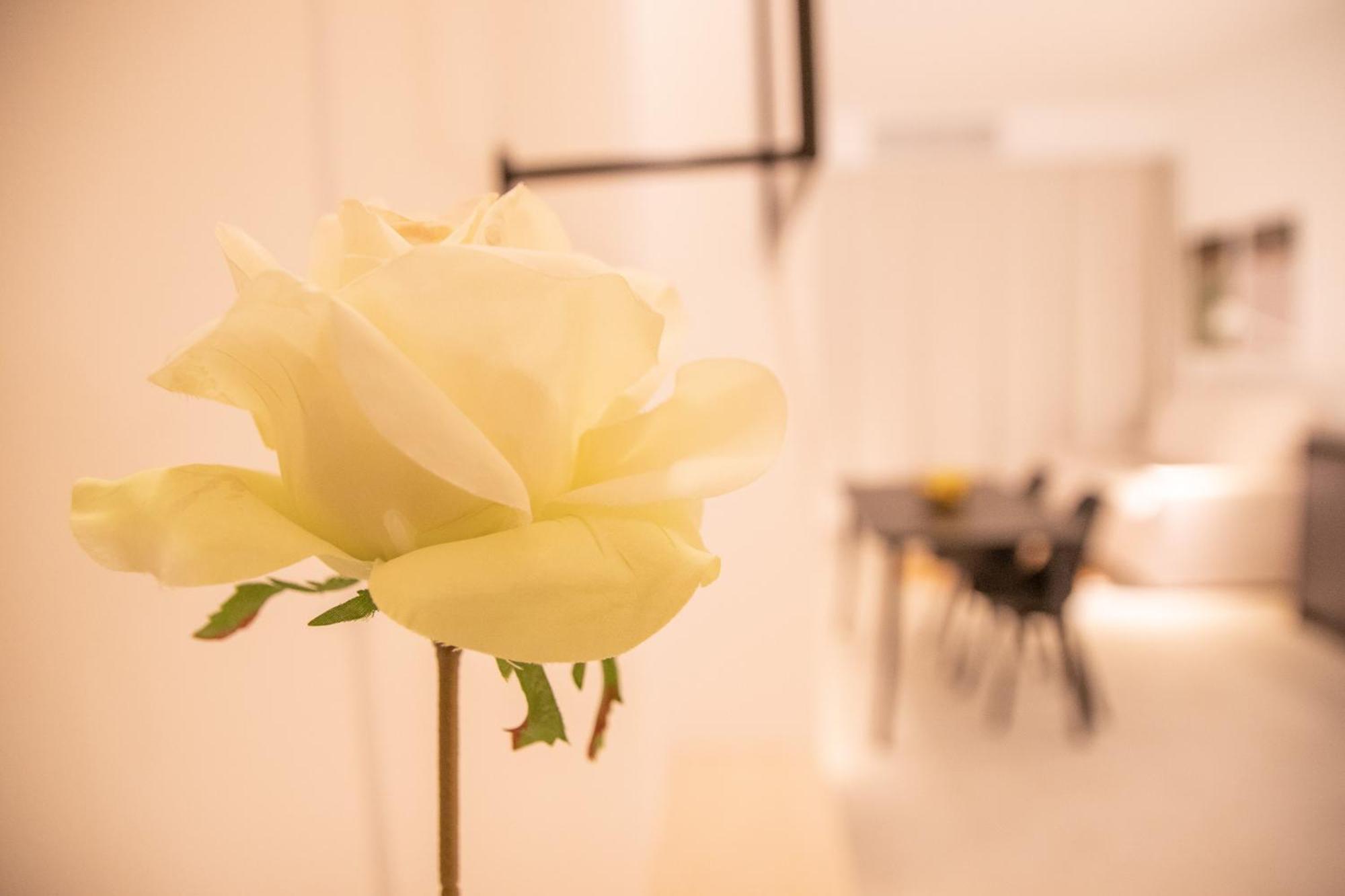 Breathe Apartments By Concept Flats บาเลนเซีย ภายนอก รูปภาพ